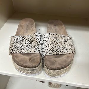 Dirty laundry cheetah platform
